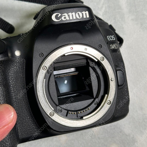 Canon 80D 카메라 팝니다! 2430컷 사용