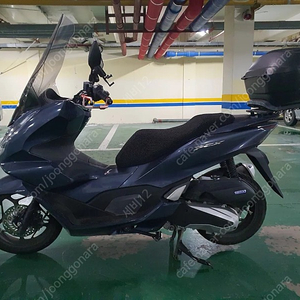 21년식 PCX 125 ABS (출퇴근용)