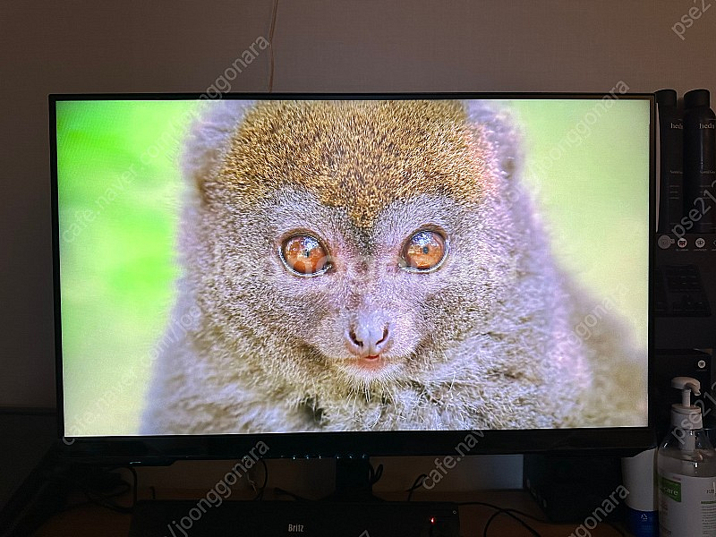 삼성 오디세이 g5 g52a s32ag520--1