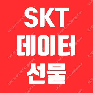 SKT 데이터 2GB 판매 (1기가당 천원)