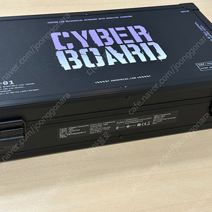 cyberboard r4 bebop한정판(사이버보드)