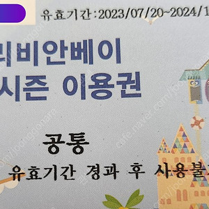 캐리비안베이 골드시즌 이용권 4장