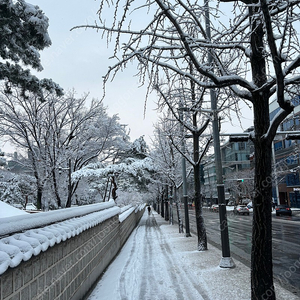 아이폰15 128기가 폴드랑 교환요청