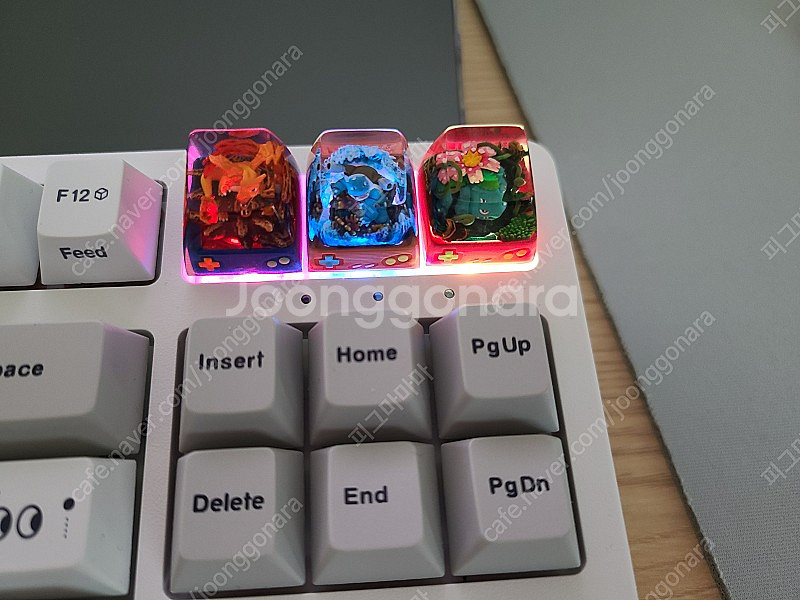 S-craft 거북왕.리자몽.이상해꽃 팝니다--1