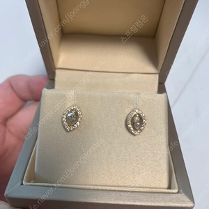 옐로골드 14k 천연 다이아 다이아몬드 마퀴즈컷 헤일로 귀걸이 이어링 판매
