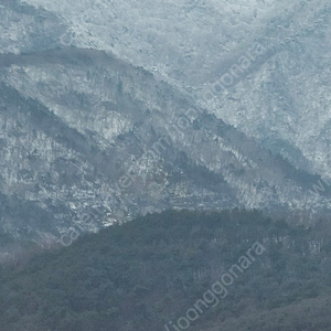 올터레인DLC 좌핸 6점대 보증서 구합니다