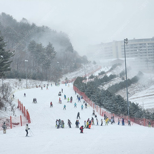 하이원리조트 3월2일(토)힐콘도35평 저렴하게 팝니다