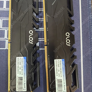 OLOy DDR4 3200 C16 RAM 메모리16GB (8*2)