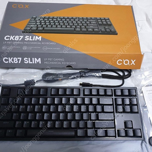 콕스 CK87 LP 갈축 팝니다