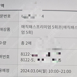 롯데월드 매직패스 3월4일 5회권 2장