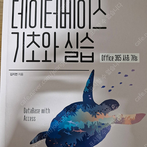 액세스2019로 배우는 데이터베이스 기초와 실습