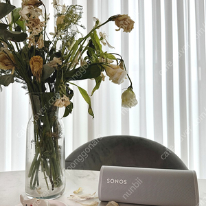 SONOS Roam SL 소노스 롬 와이파이 & 블루투스 스피커