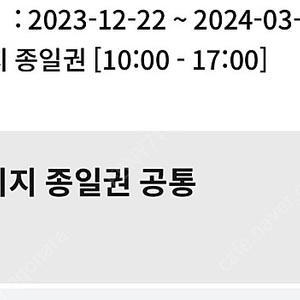 휘닉스파크 눈썰매장 스노우빌리지 3/3 입장권1