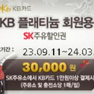 SK 주유권 8만원