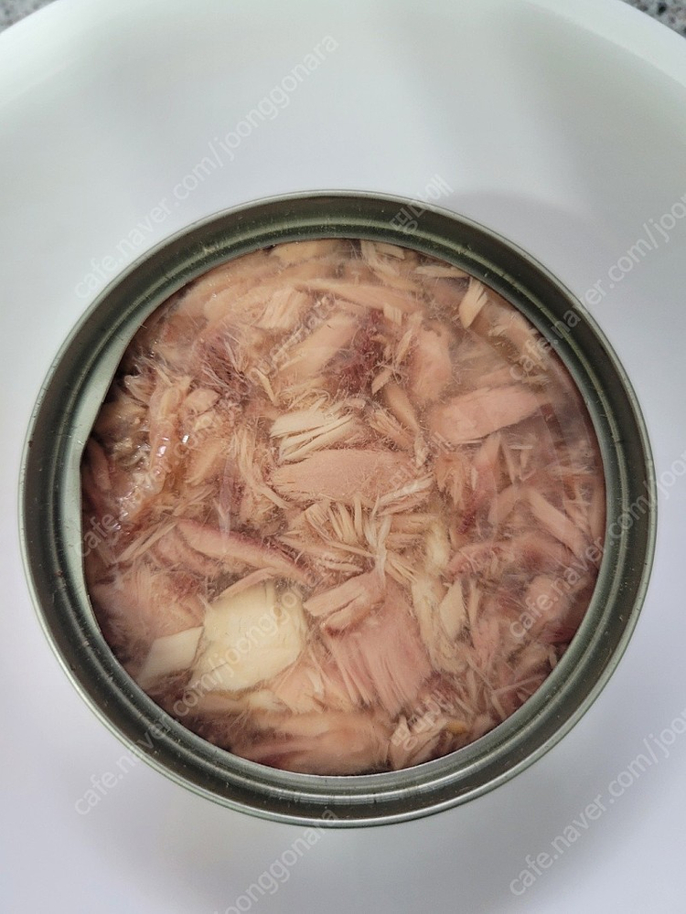 아타스 오리지널 고양이 주식캔 이미지