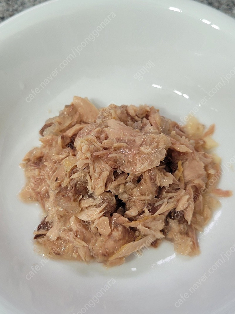 아타스 오리지널 고양이 주식캔 이미지