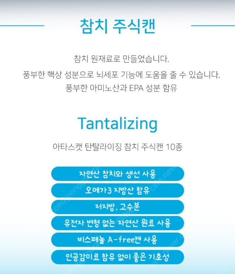 아타스 오리지널 고양이 주식캔 이미지