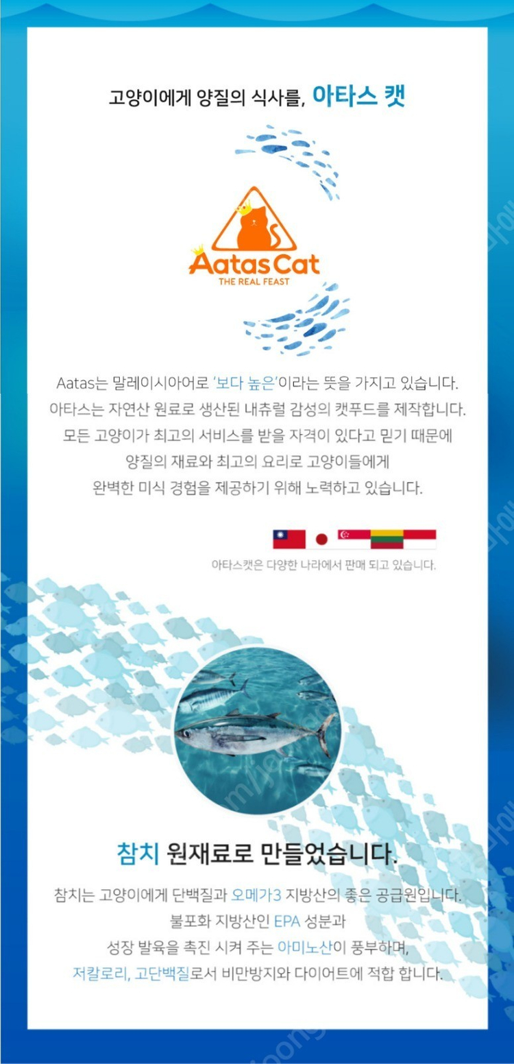 아타스 오리지널 고양이 주식캔 이미지