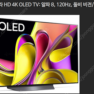 LG OLED TV 65인치 (OLED 65B4SW/S)