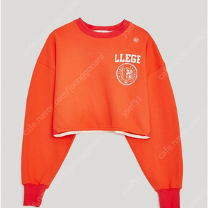 RECTO LLEGE SERIES CROP SWEAT (ORANGE)