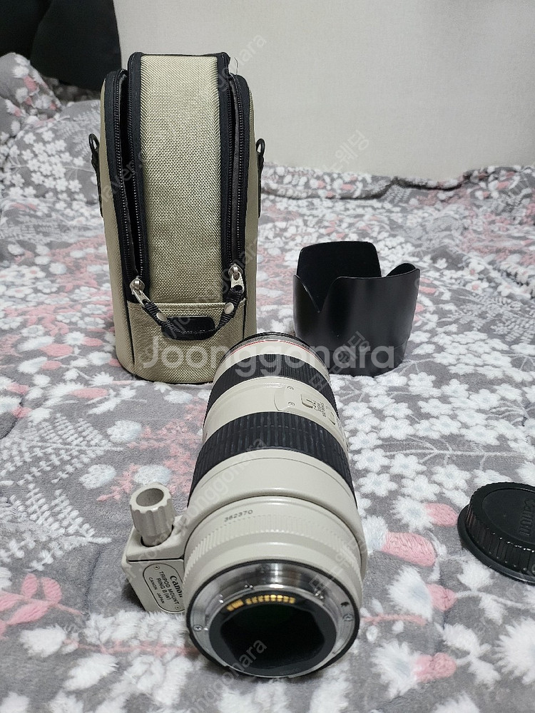 케논구아빠백통70-200--2