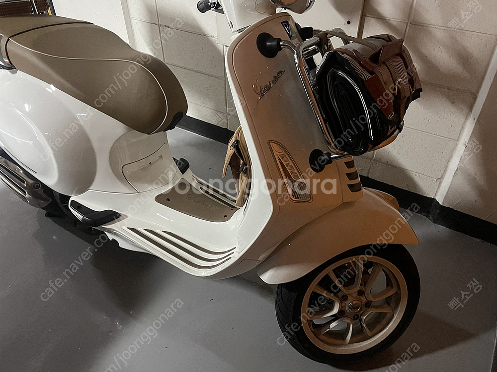 베스파 피크닉 화이트--2