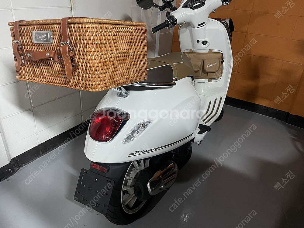 베스파 피크닉 화이트--4