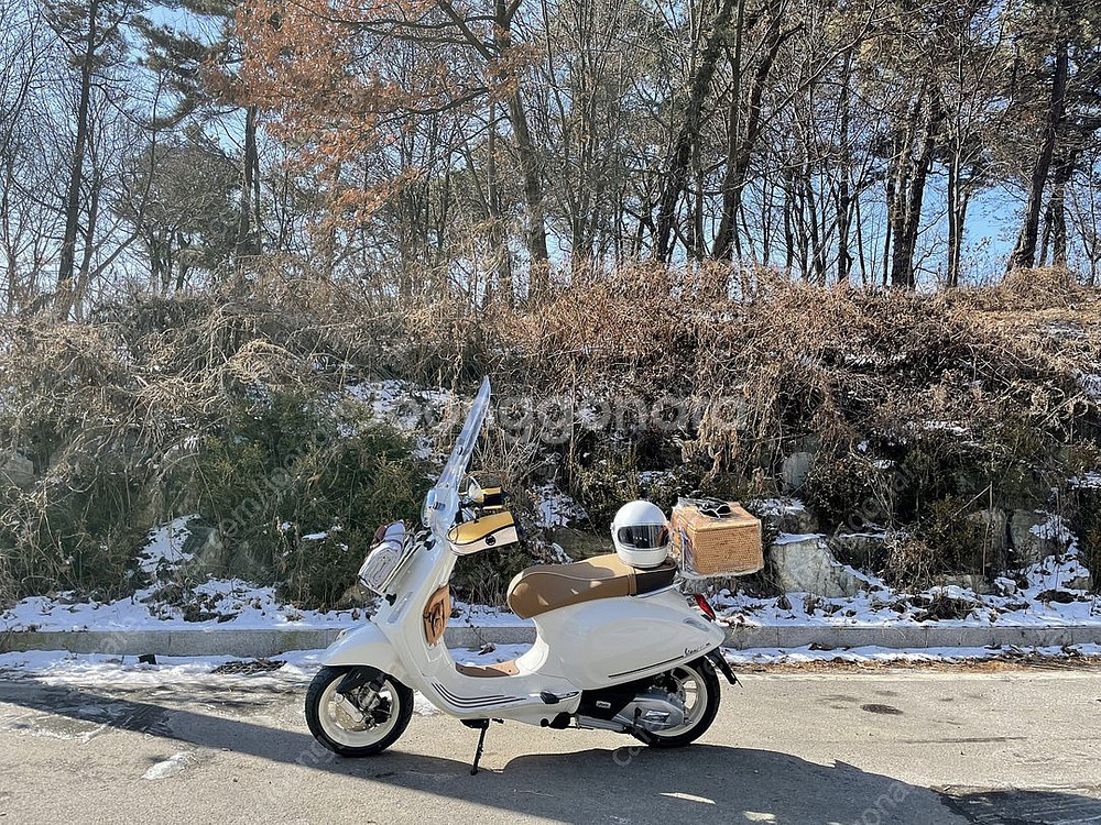 베스파 피크닉 화이트--6