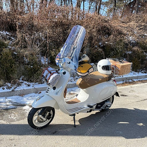 베스파 피크닉 화이트