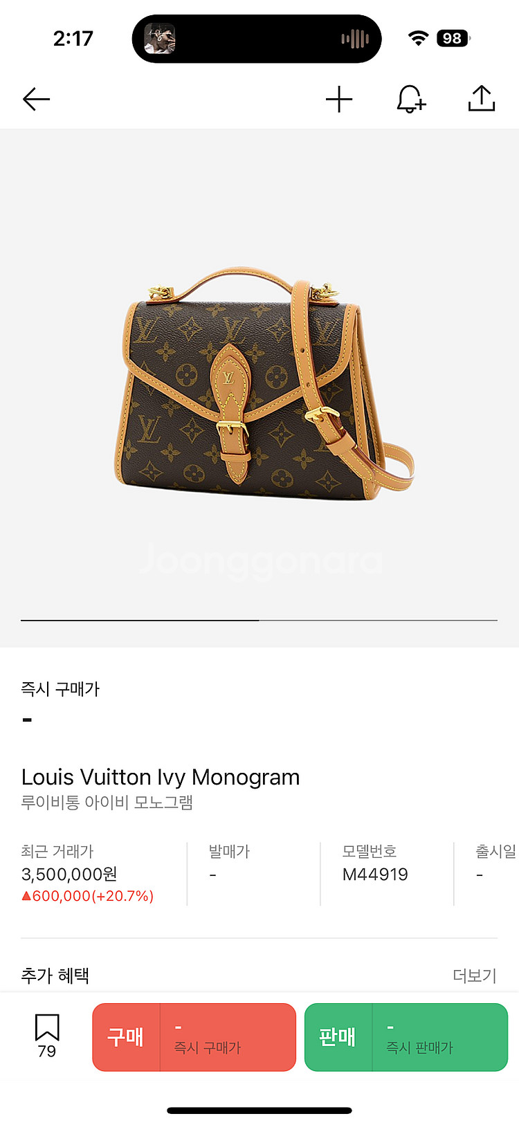 루이비통 아이비백--8