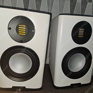 엘락 카리나 elac bs243.4