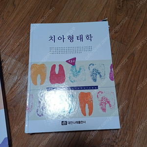 치아형태학 대한나래