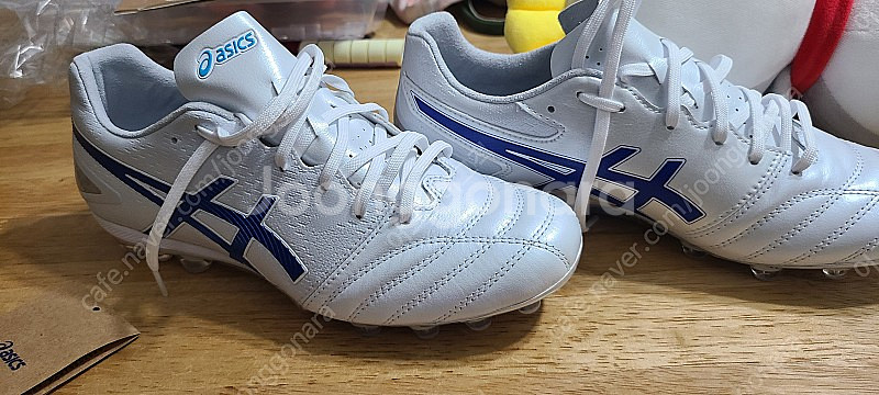 아식스 ds light ag pro--3