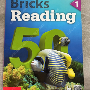 Bricks Reading 50