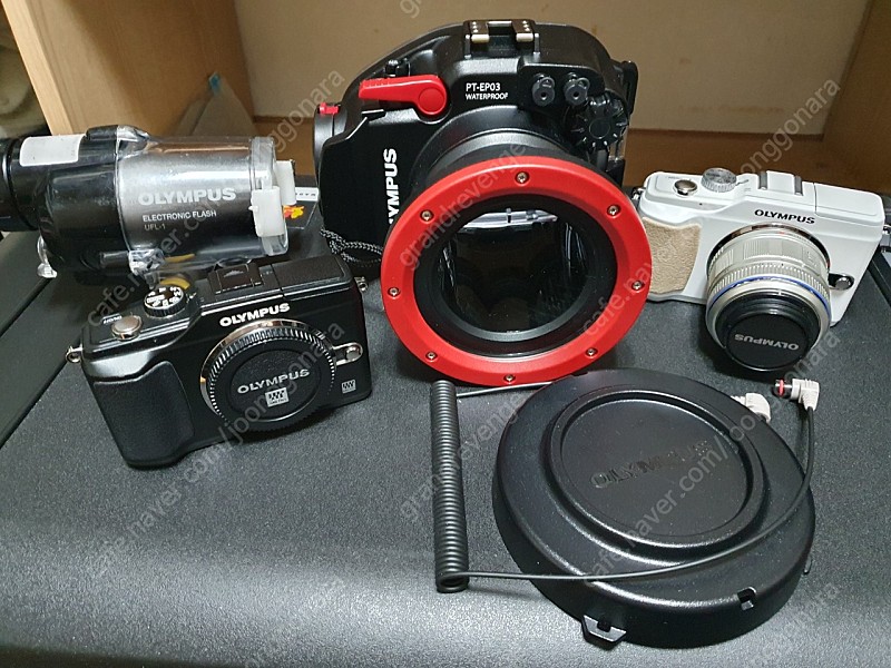 올림푸스 PT-EP03 , UFL-1 , PTCB-E0, E-PL2 수중 장비 카메라 세트 판매