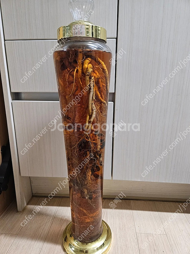 봉삼주 판매합니다--0