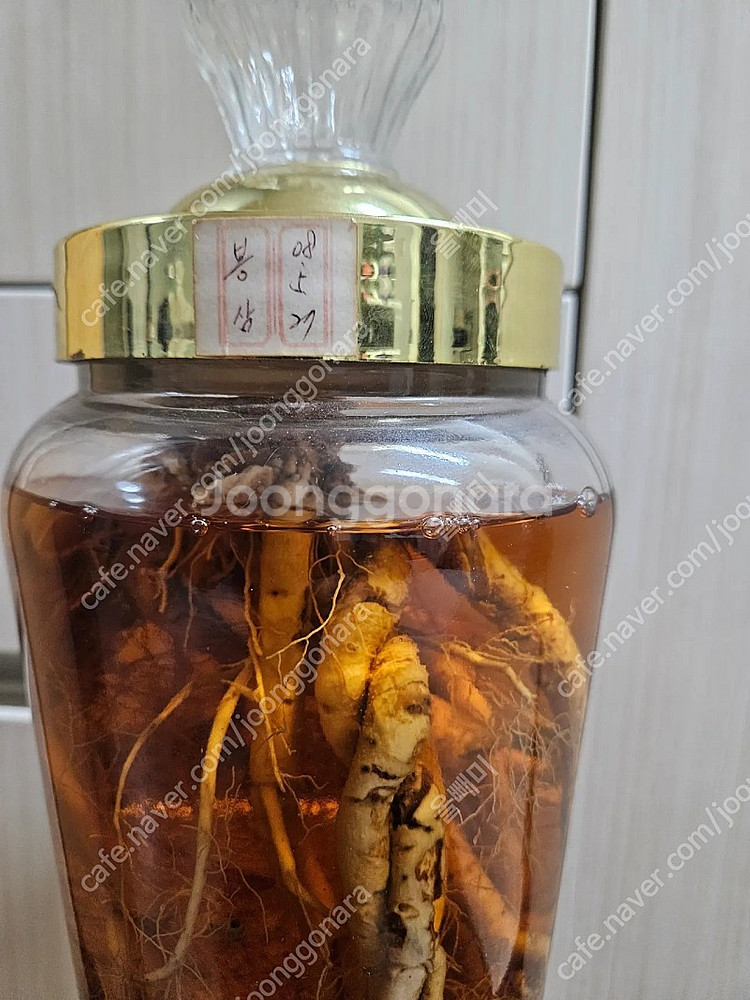 봉삼주 판매합니다--1