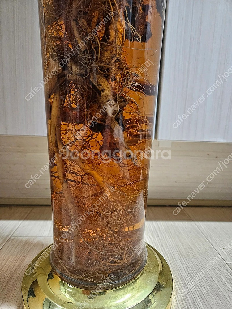 봉삼주 판매합니다--3