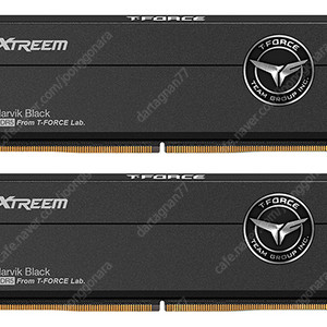 TeamGroup T-Force DDR5-8000 CL38 XTREEM 패키지 서린 (32GB(16Gx2))