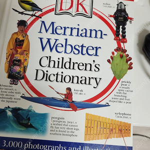 DK Merriam webster children's dictionary