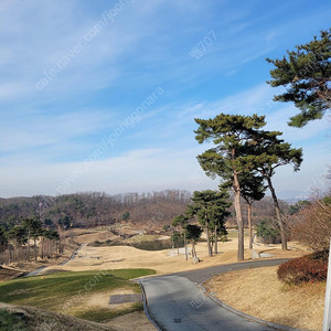 대전 오토그래프 컬렉션 디럭스룸(3월14일 1박 양도)