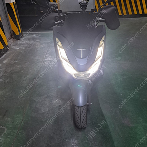 pcx125 2100km주행 팝니다