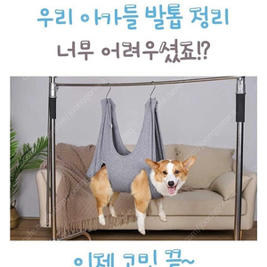 강아지 미용 해먹