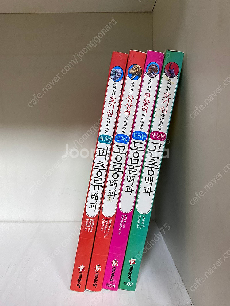 글송이 곤충+동물+공룡+파충류 백과(4권)--0