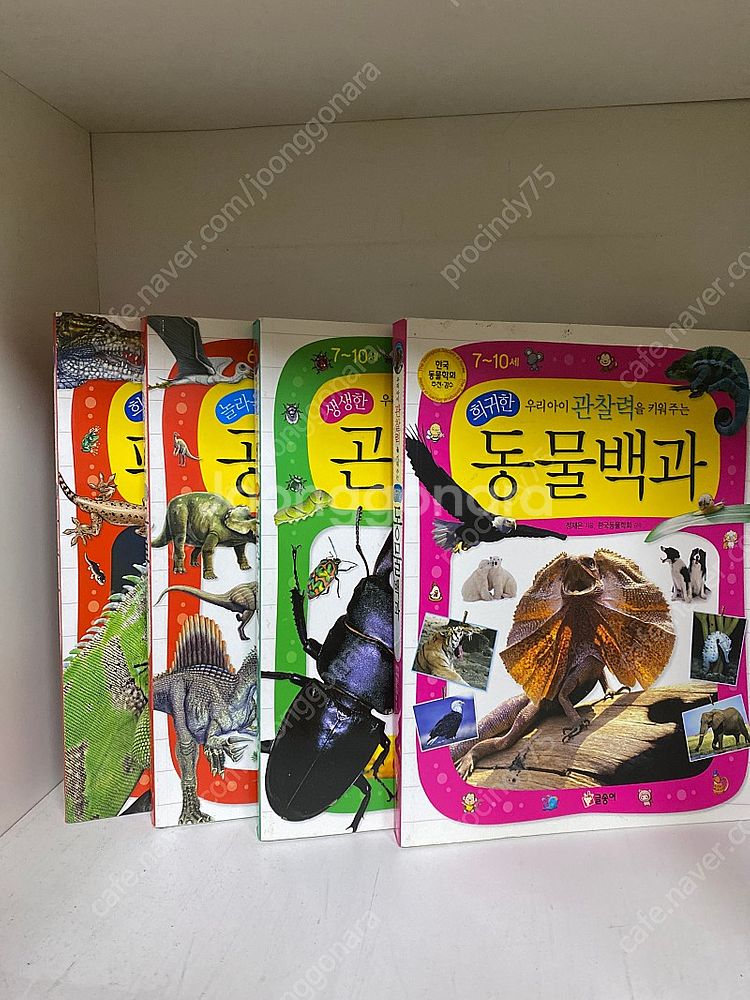 글송이 곤충+동물+공룡+파충류 백과(4권)--1