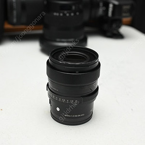 부산 시그마 65mm F2 소니마운트 (sigma C 65mm F2 DG DN)