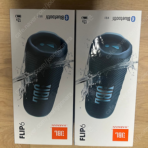 JBL FLIP6 플립6 (블루)