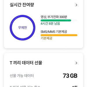 sk데이터 1기가