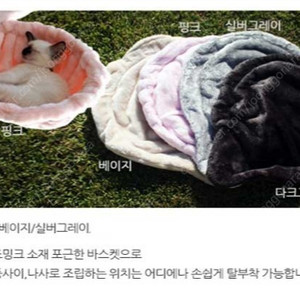 캣타워 고양이 바스켓 해먹