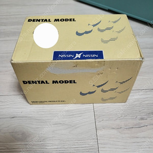 니신 덴탈모델(dental model)